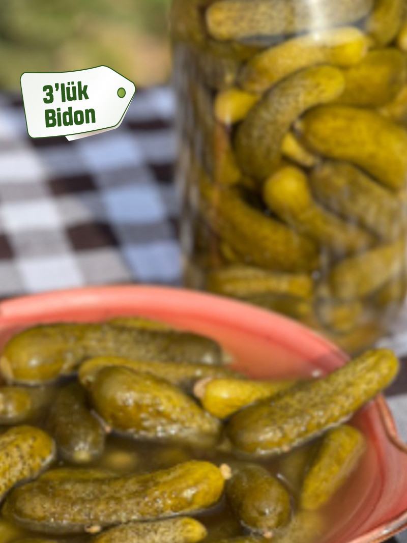 Kornişon Turşu 3'lük Bidon