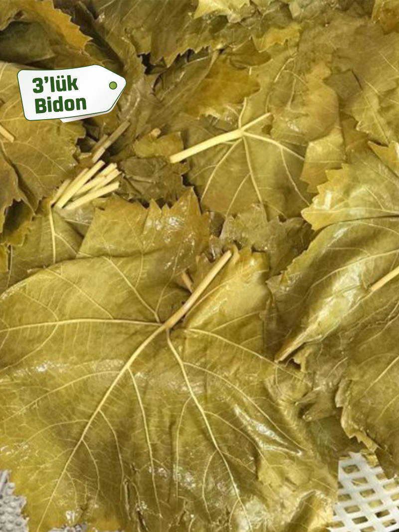 Salamura Asma Yaprak 3'lük Bidon